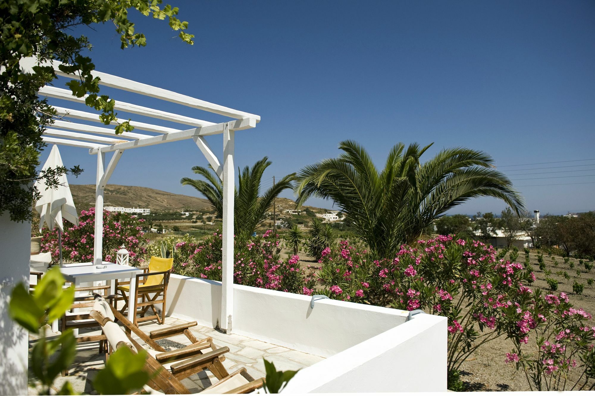 Kostantakis Winery Estate Guest House Pollonia Exterior foto